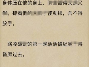 高 H 纯肉 NP 弄潮 NP 男男系列精品小说，带给你极致阅读体验