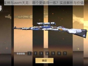 98k星神与awm天龙：哪个更值得一练？实战解析与价值探讨