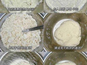 关于明日之后面团制作方法的探讨与解析