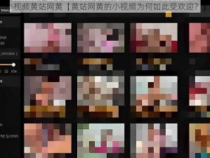 小视频黄站网黄【黄站网黄的小视频为何如此受欢迎？】