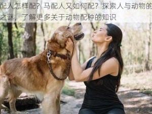 狗配人怎样配？马配人又如何配？探索人与动物的繁衍之谜，了解更多关于动物配种的知识