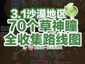 全攻略：探寻沙漠秘境，草神瞳全收集指南