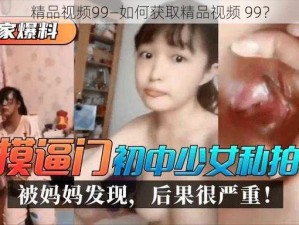 精品视频99—如何获取精品视频 99？