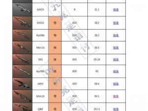 绝地求生：空投枪的神秘力量与使用技巧解析