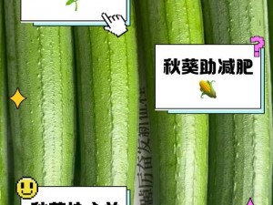 绿色、健康、营养的四季蔬果，丝瓜、草莓、秋葵、榴莲