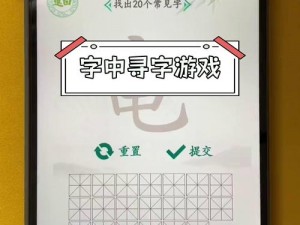 竜字挑战：寻找汉字王者的足迹，揭示二十个常见字之谜