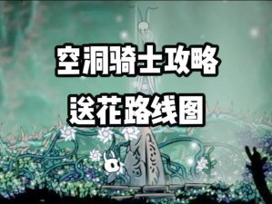 空洞骑士极速送花攻略：超高效完成送花任务玩法分享