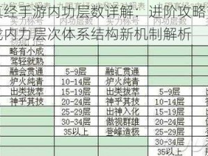 九阴真经手游内功层数详解：进阶攻略带你揭秘游戏内力层次体系结构新机制解析