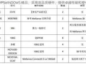 国产 VPSWINDOWS 精品，采用高品质硬件，提供卓越性能和安全保障