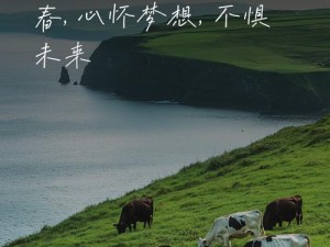 才不童真幻灭，矮人海盗尽显非凡之才启航之旅