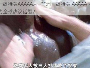 非洲一级特黄AAAAA片—非洲一级特黄 AAAAA 片，为何成为全球热议话题？