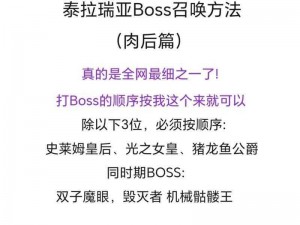 泰拉瑞亚地牢守护者BOSS攻略详解：全面解析技能特点与战斗策略