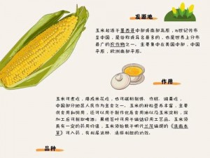 乐高无限魅力：探究玉米种植的奇妙效果与全面介绍