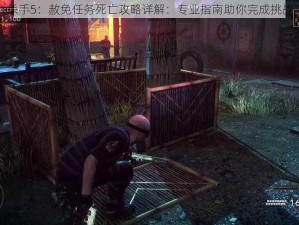 杀手5：赦免任务死亡攻略详解：专业指南助你完成挑战