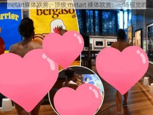 顶级metart裸体欧赏、顶级 metart 裸体欧赏：一场视觉的盛宴