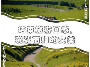 丽莎的归途：漫长的回家之旅的圆满完结