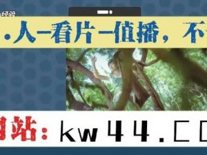 5g天天运动奭天天、5G 天天运动，奭天天快乐