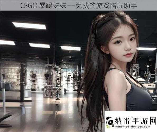 CSGO 暴躁妹妹——免费的游戏陪玩助手