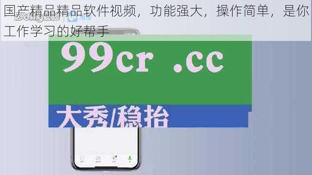 国产精品精品软件视频，功能强大，操作简单，是你工作学习的好帮手