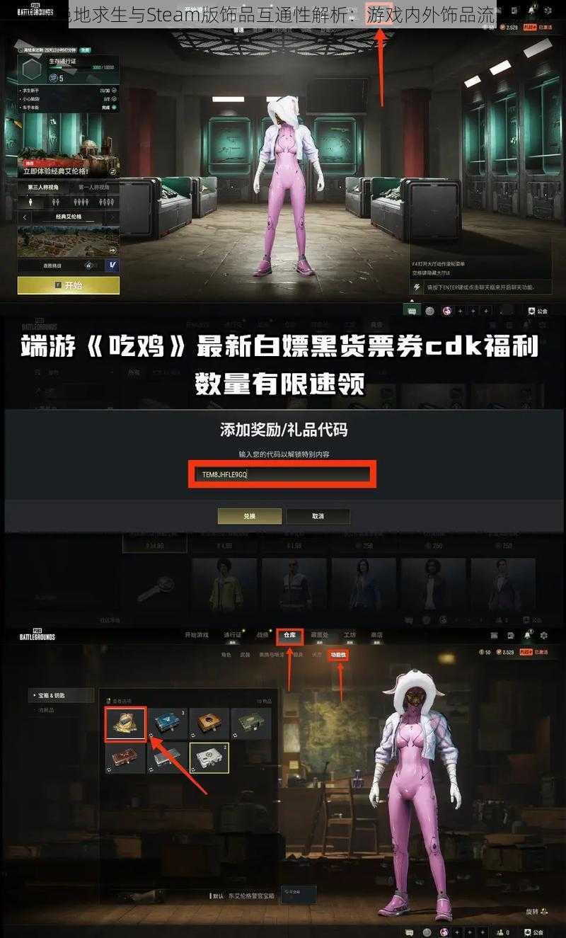 国服绝地求生与Steam版饰品互通性解析：游戏内外饰品流通新探