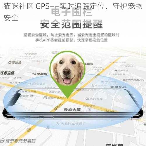 猫咪社区 GPS——实时追踪定位，守护宠物安全