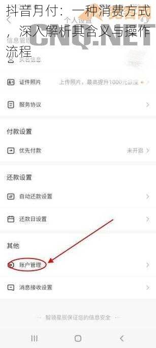 抖音月付：一种消费方式，深入解析其含义与操作流程