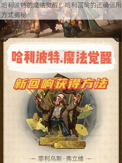 哈利波特的魔法觉醒：哈利回响的正确运用方式揭秘