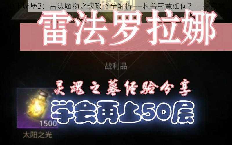 地下城堡3：雷法魔物之魂攻略全解析——收益究竟如何？一探究竟