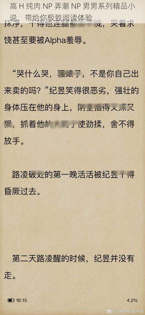 高 H 纯肉 NP 弄潮 NP 男男系列精品小说，带给你极致阅读体验