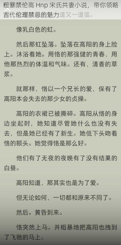 粗暴禁伦高 Hnp 宋氏共妻小说，带你领略古代伦理禁忌的魅力