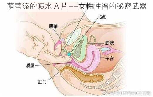 荫蒂添的喷水 A 片——女性性福的秘密武器