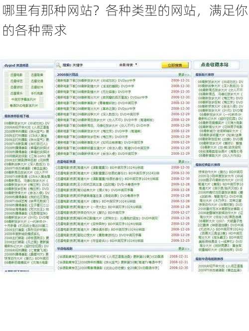 哪里有那种网站？各种类型的网站，满足你的各种需求