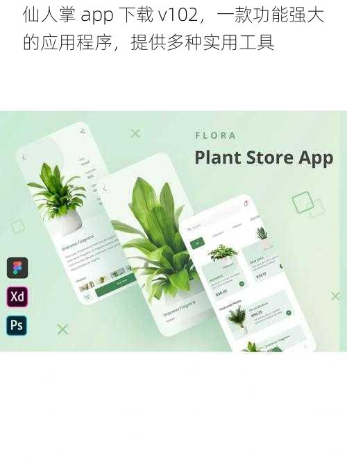 仙人掌 app 下载 v102，一款功能强大的应用程序，提供多种实用工具