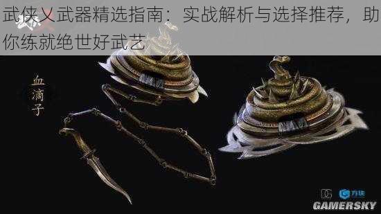 武侠乂武器精选指南：实战解析与选择推荐，助你练就绝世好武艺