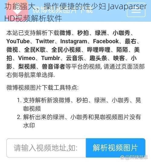 功能强大、操作便捷的性少妇 JavaparserHD视频解析软件