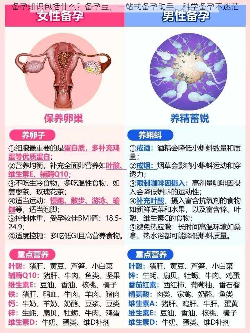 备孕知识包括什么？备孕宝，一站式备孕助手，科学备孕不迷茫