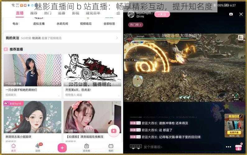 魅影直播间 b 站直播：畅享精彩互动，提升知名度