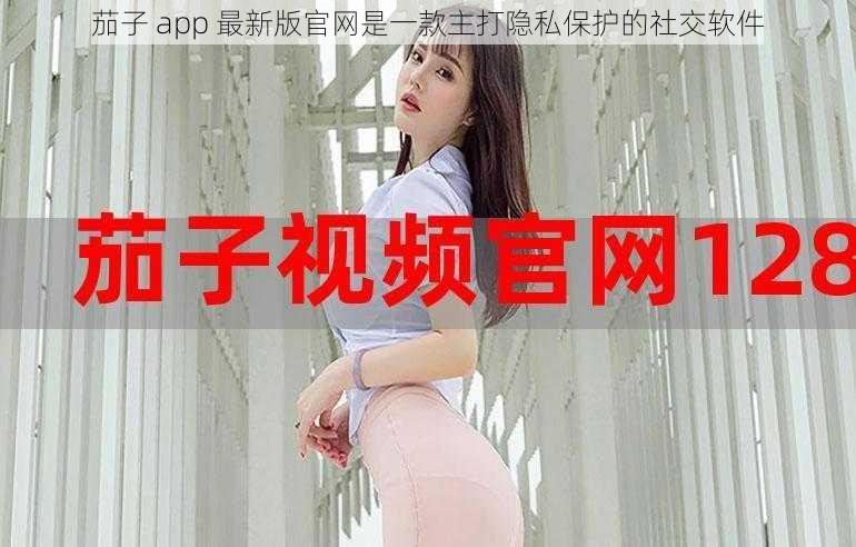 茄子 app 最新版官网是一款主打隐私保护的社交软件