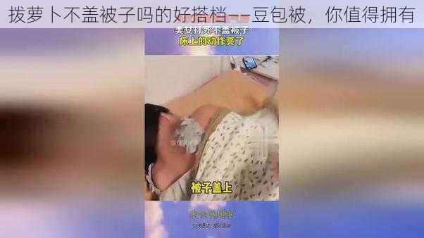 拨萝卜不盖被子吗的好搭档——豆包被，你值得拥有