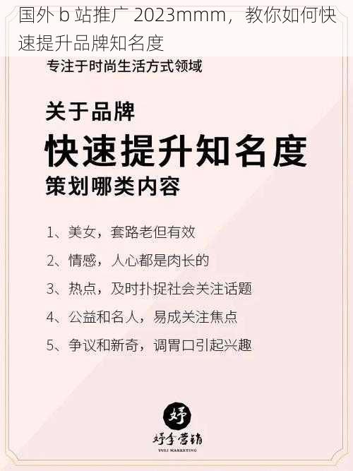 国外 b 站推广 2023mmm，教你如何快速提升品牌知名度