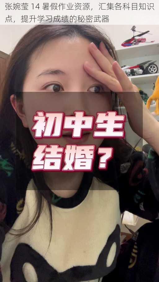 张婉莹 14 暑假作业资源，汇集各科目知识点，提升学习成绩的秘密武器