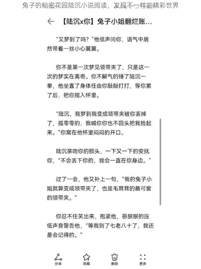 兔子的秘密花园陆沉小说阅读，发现不一样的精彩世界