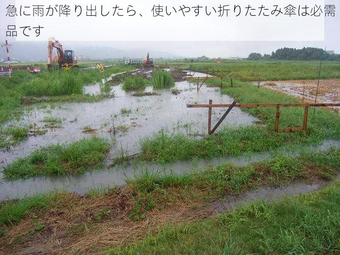 急に雨が降り出したら、使いやすい折りたたみ傘は必需品です