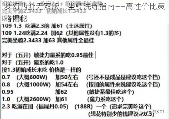 梦幻西游无双版：坐骑洗练指南——高性价比策略揭秘