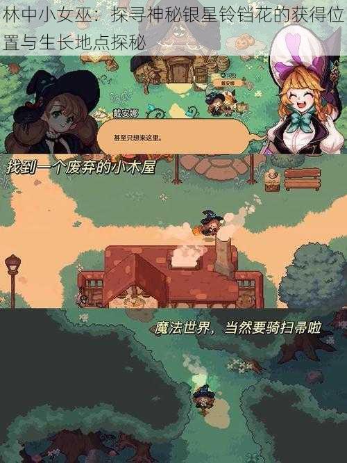 林中小女巫：探寻神秘银星铃铛花的获得位置与生长地点探秘