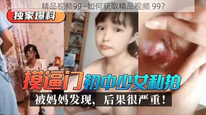 精品视频99—如何获取精品视频 99？