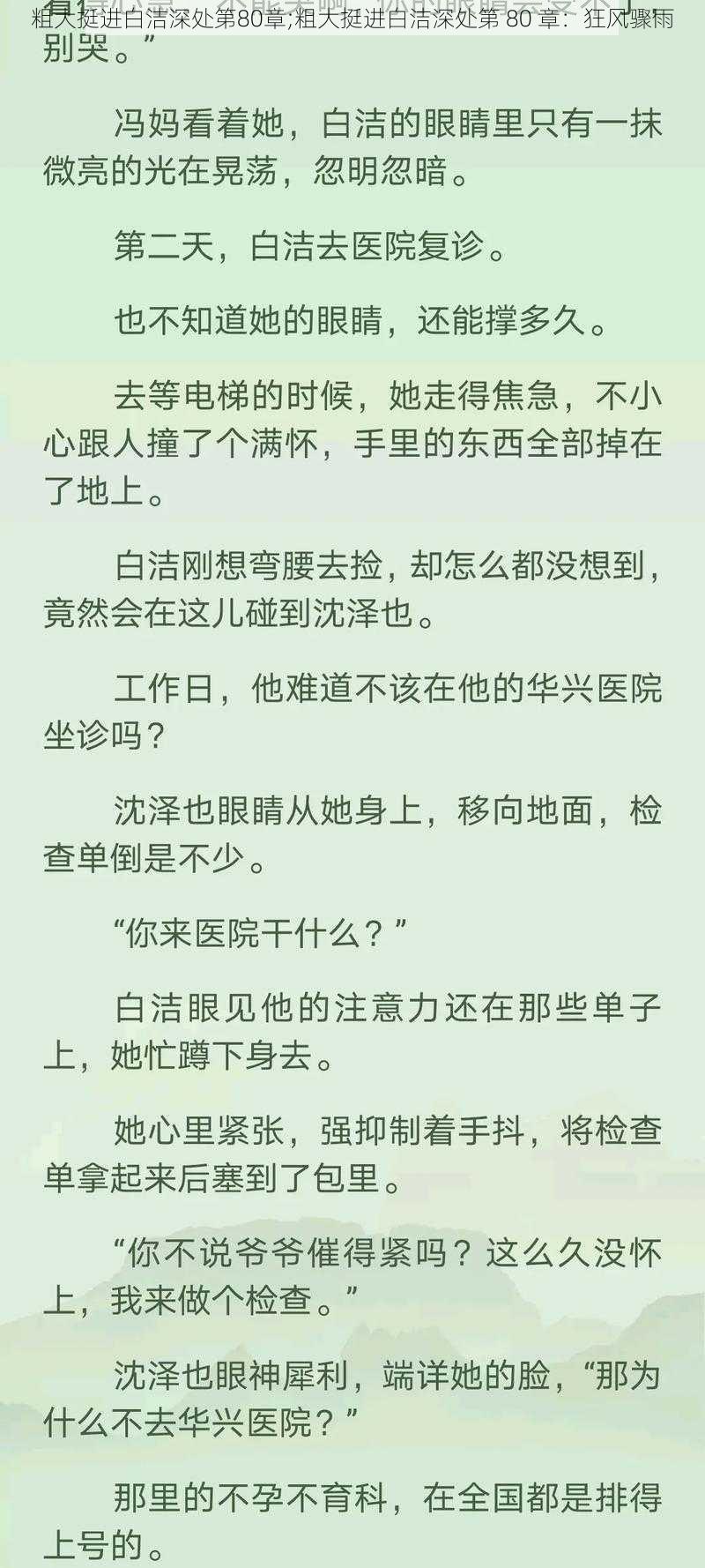 粗大挺进白洁深处第80章;粗大挺进白洁深处第 80 章：狂风骤雨