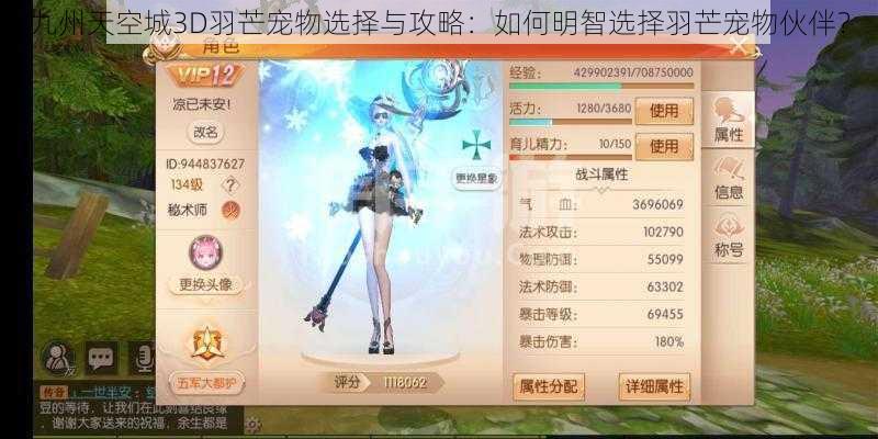 九州天空城3D羽芒宠物选择与攻略：如何明智选择羽芒宠物伙伴？