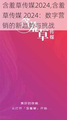 含羞草传媒2024,含羞草传媒 2024：数字营销的新趋势与挑战