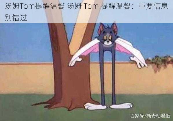 汤姆Tom提醒温馨 汤姆 Tom 提醒温馨：重要信息别错过